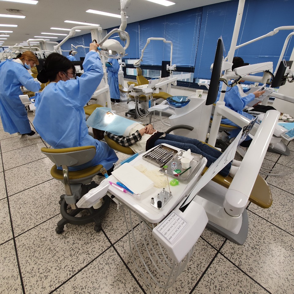 강릉원주대학교 외국인 학생을 위한 구강건강관리 프로그램 참여 대표이미지